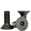 Flat Head Cap Screws / Steel / Black Oxide