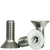 Flat Head Cap Screws / Stainless Steel / Passivated