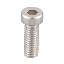 Low Head Cap Screws / Socket Head / Stainless Steel / Passivated