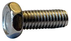 #8-32 x 1/4