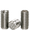 Set Screws / Headless (Set Screw) / Stainless Steel / Passivated